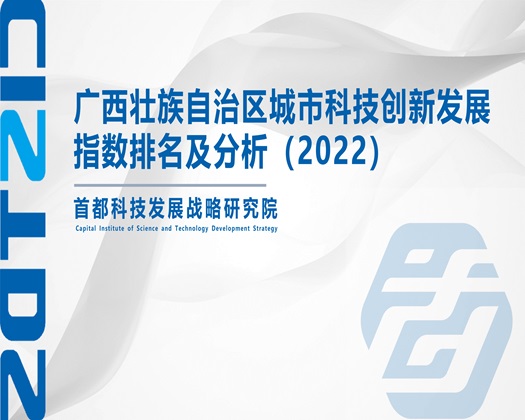 大屌插小穴【成果发布】广西壮族自治区城市科技创新发展指数排名及分析（2022）